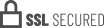 SSL Logo